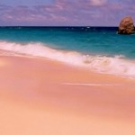 Bermuda: tutto il rosa dell’Atlantico