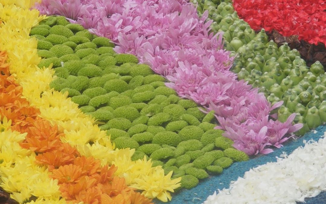 Veneto: l’Infiorata di Noale 2013