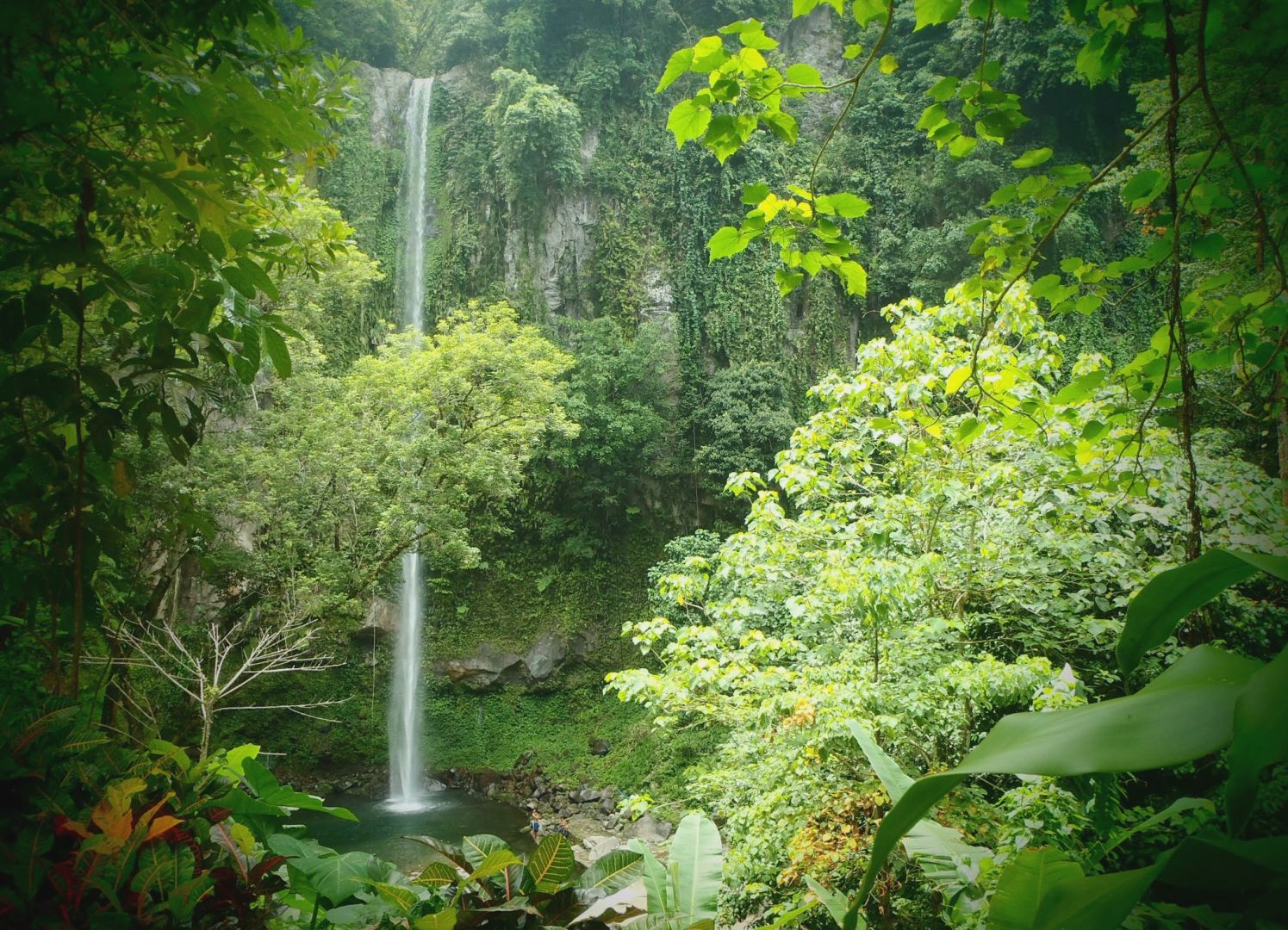 Katibawasan Falls Camiguin