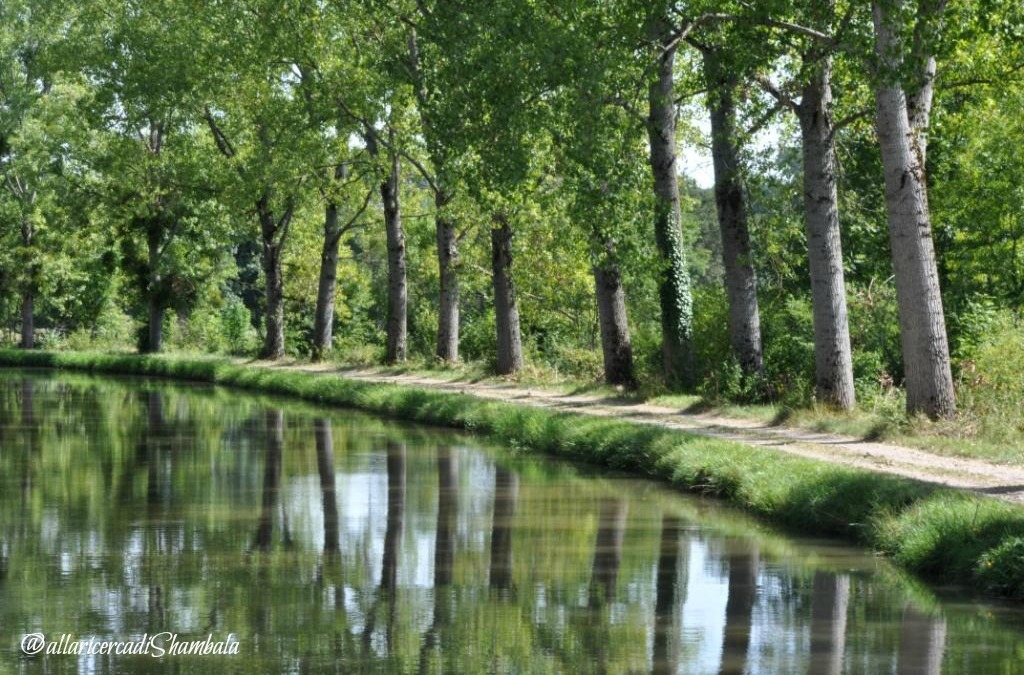 Francia: pensieri sparsi su una houseboat in Borgogna