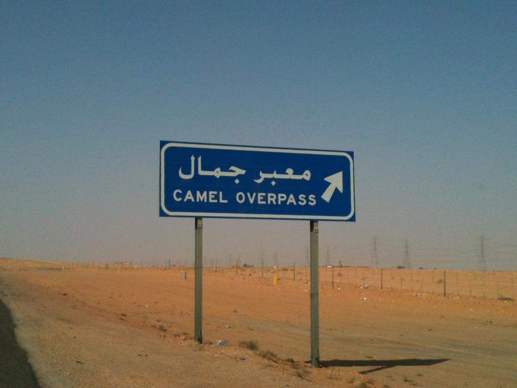 Saudi deserto 1 (1)