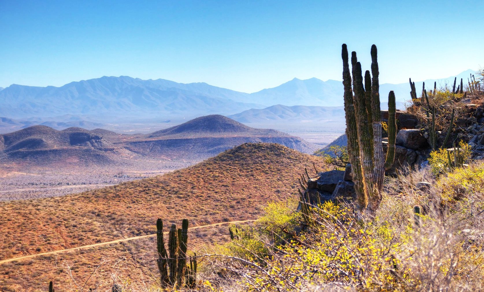 Baja California