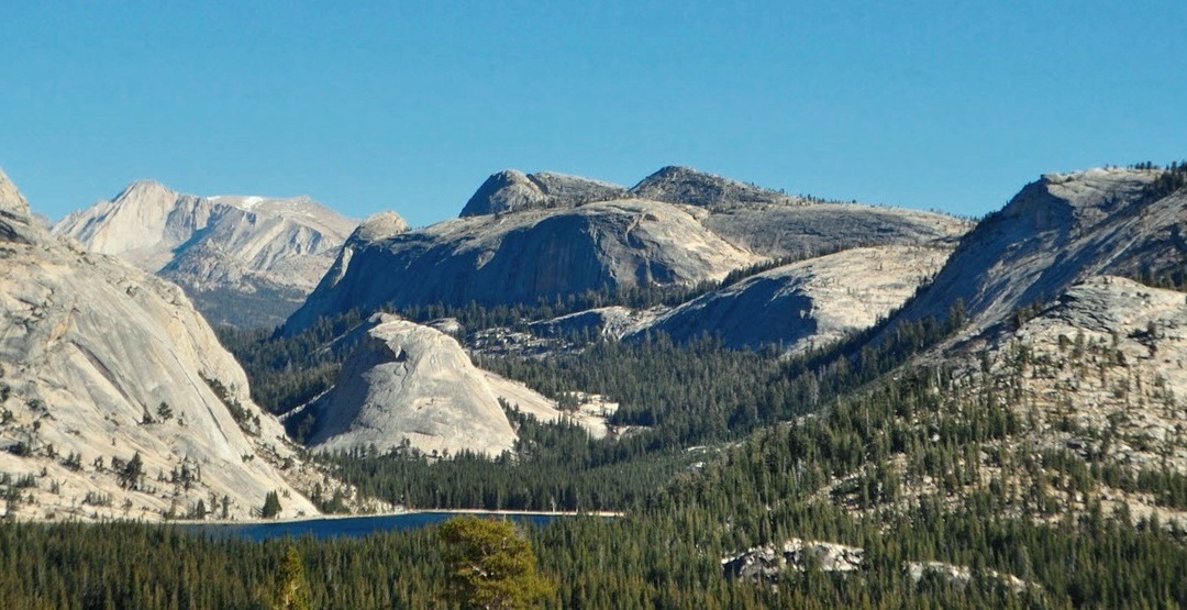 California: la natura selvaggia dello Yosemite National Park