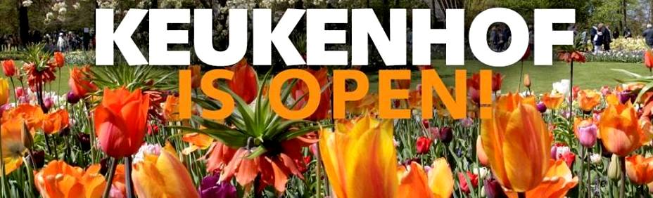 Olanda: giardino botanico Keukenhof, un tuffo nella cromoterapia