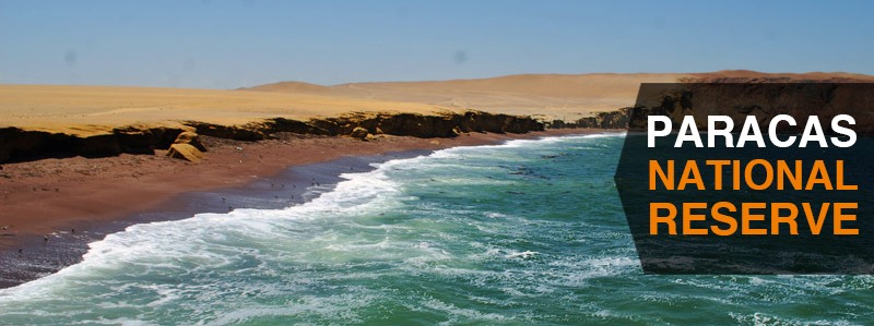 Perù: Riserva Nazionale di Paracas, un deserto di sale
