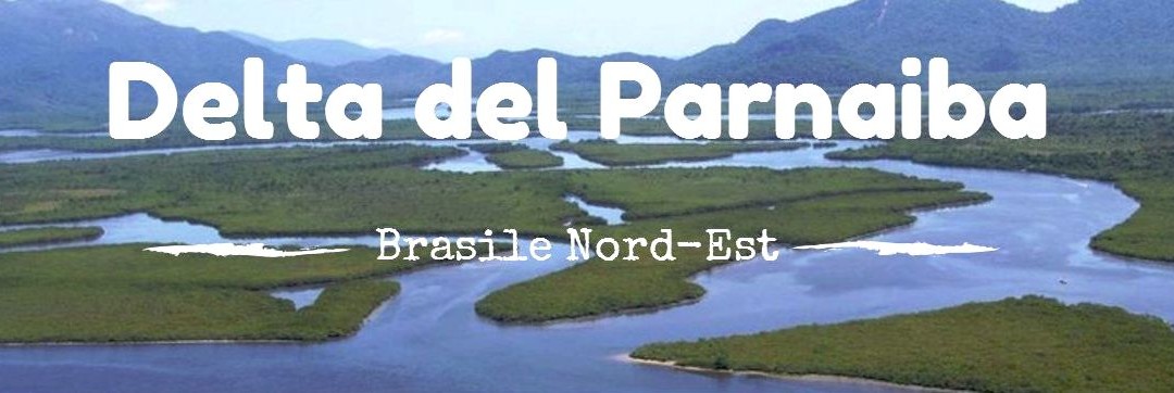 Brasile: sul Delta do Parnaíba tra caranguejos e jacarès