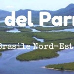 Brasile: sul Delta do Parnaíba tra caranguejos e jacarès