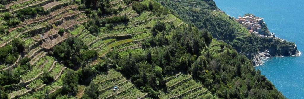 Cinque Terre: tra scaglie di mare e roventi muri d’orto