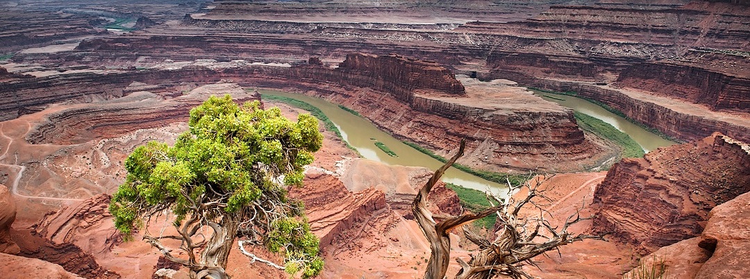 Utah: Dead Horse Point State Park