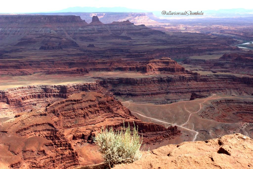 Dead Horse Point panorama
