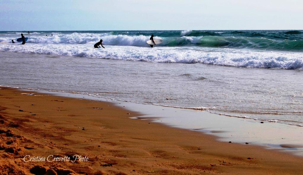 Surfing safari